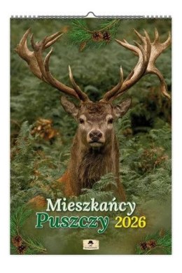 Kalendarz ścienny Mieszkańcy PUSZCZY 320mm x 470mm Pan Kalendarzyk (A3 VD.11)