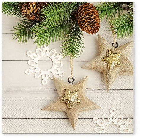 Serwetki BN mix nadruk bibuła [mm:] 330x330 Paw (TL837000)