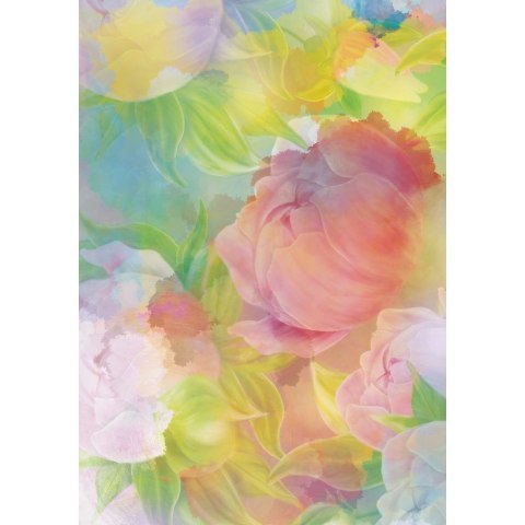 Brulion twarda oprawa B5 300k. krata Kreska