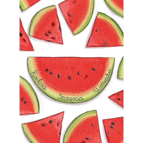 Kartka składana B6 Karnet B6 arbuz HS TŁ Henry
