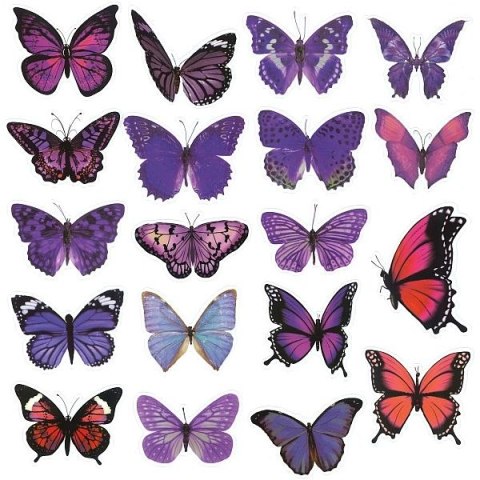 Naklejka (nalepka) Craft-Fun Sereis Motyle foliowe Titanum (25MD011)