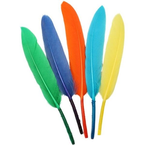 Piórka Craft-Fun Series mix 60 szt Titanum (16079L)