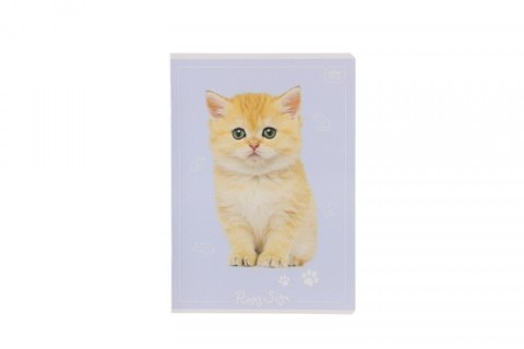 Zeszyt A5 kol 3= 5902277348418 A5 16k. 70g linia kolor Interdruk