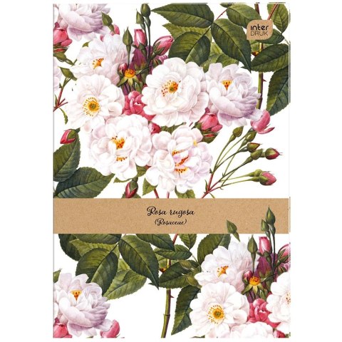 Zeszyt tematyczny A6 32k. linia Interdruk (ZES32=)