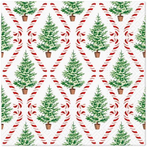 Serwetki Lunch BN Candy Cane Forest mix nadruk papier Paw (SDL240900)