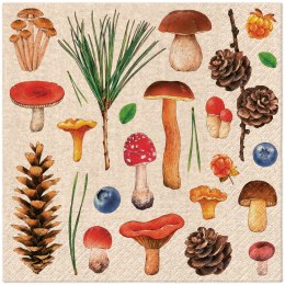 Serwetki Lunch BN mix papier Paw (SDLE022600)