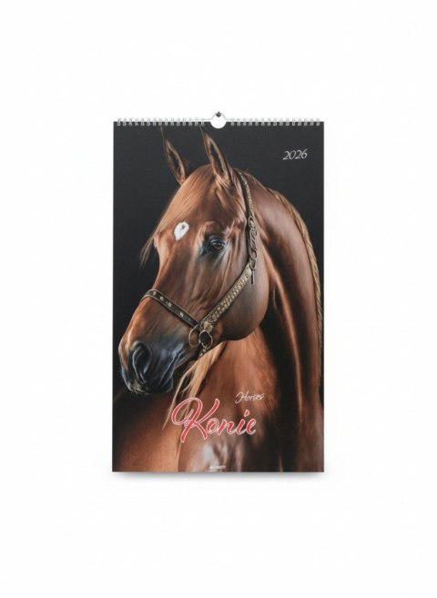 Kalendarz ścienny KONIE wieloplanszowy paskowy 285mm x 420mm Avanti (A3-2)