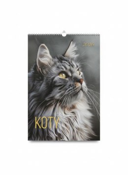 Kalendarz ścienny KOTY wieloplanszowy paskowy 285mm x 410mm Avanti (A3-13)