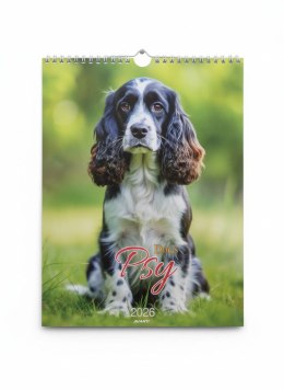 Kalendarz ścienny MAŁY SPIRALA PSY 230mm x 305mm Avanti (KSMS-3)