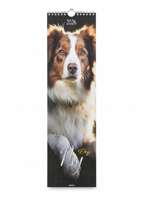 Kalendarz ścienny paskowy Psy 130mm x 460mm Avanti (KP-1)