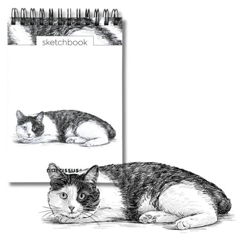 Blok artystyczny szkicownik kot A6 120g 60k Narcissus