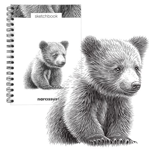 Blok artystyczny szkicownik niedziedź B5 120g 60k Narcissus