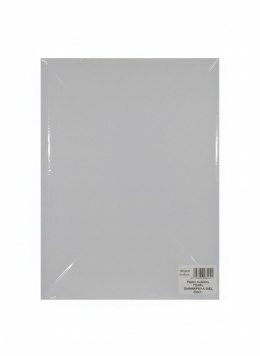 Papier ozdobny (wizytówkowy) pearl siamentowa biel A4 biały 135g Galeria Papieru (206211)