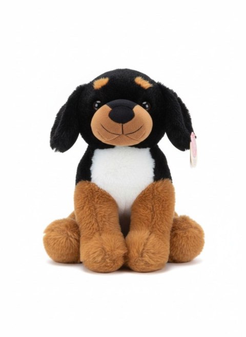 Pluszak pies siedzący Deef (04293)