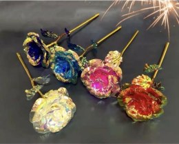 Kwiaty Wieczna róża błyszcząca, mix kolorów