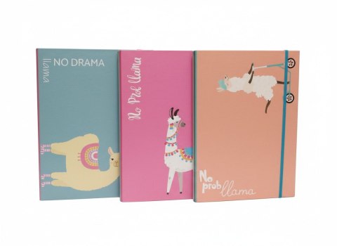 Teczka kartonowa na gumkę 2cm NO PROBllama A4 mix VauPe (322/96)