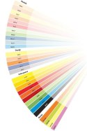 Papier kolorowy A4 Color szary 80g [mm:] 210x297 Mondi (GR21)