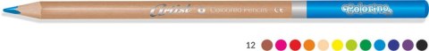 Kredki ołówkowe Artist colorino 12 kol. Patio (83256PTR)