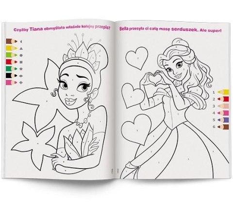 Książka dla dzieci Księżniczka Ameet (KKO 9109)