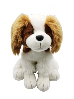 Pluszak pies siedzący Smily Play (SP84396)