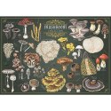 Puzzle Finders Keepers: Grzyby 25 el. Trefl (37608)