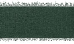 Wstążka Craft-Fun Series szyfonowa strzępiona 40x10 [mm x m] zielony butelkowy Titanum (WJ40-10-012B)