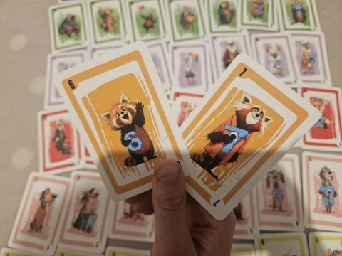 Karty Viral 67 Alexander (3282) 55 sztuk