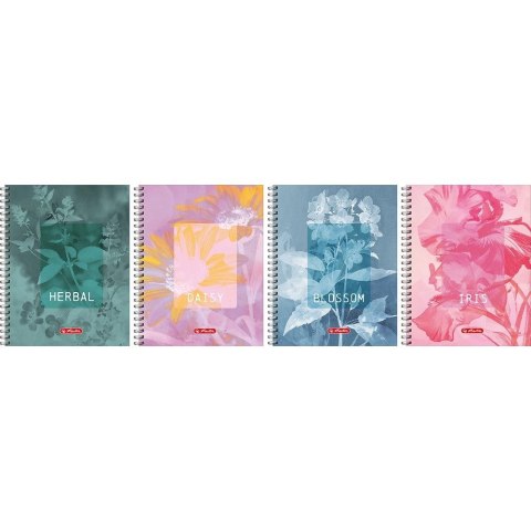 Kołozeszyt (kołonotatnik) A4 Blossom 80k. 70g krata Herlitz (400206438)