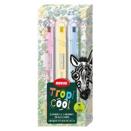 Zakreślacz Tropicoo wkład mix Rexus (63247)