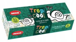 Farby plakatowe TROPICOOL kolor: mix 20ml 12 kolor. Rexus