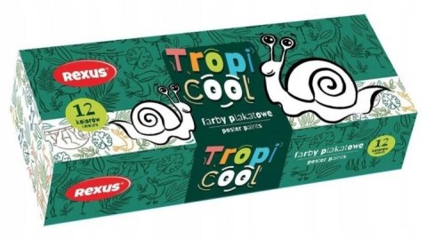 Farby plakatowe TROPICOOL kolor: mix 20ml 12 kolor. Rexus
