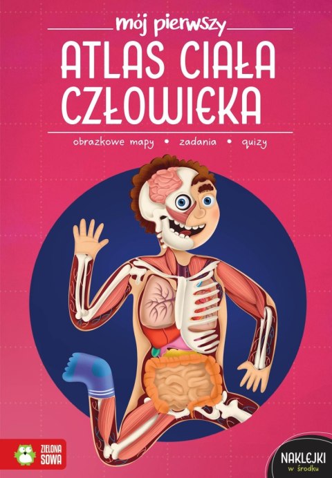Książka dla dzieci Mój pierwszy atlas ciała człowieka Zielona Sowa