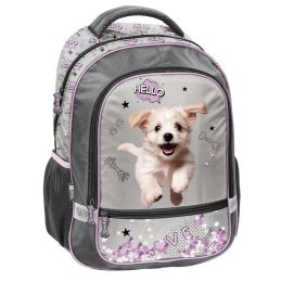 Plecak pies Paso (PP26SZ-260)