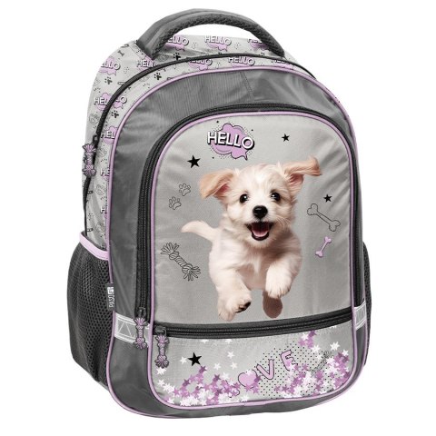 Plecak pies Paso (PP26SZ-260)