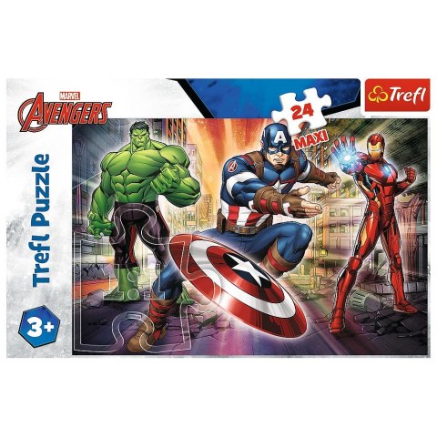 Puzzle 24 el. Trefl (14321)