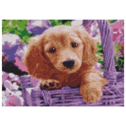 Zestaw kreatywny Diamentowa mozaika 30x40cm Pies Flamingo Line (TMF20876)