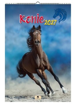 Kalendarz ścienny 2027 KONIE 470mm x 320mm Pan Kalendarzyk (A3 VD.15)