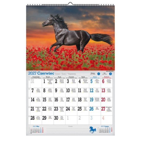 Kalendarz ścienny 2027 KONIE 470mm x 320mm Pan Kalendarzyk (A3 VD.15)