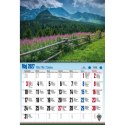 Kalendarz ścienny ALBUMOWY TATRY PO ZBÓJU 470mm x 320mm Pan Kalendarzyk (KSA V.5)