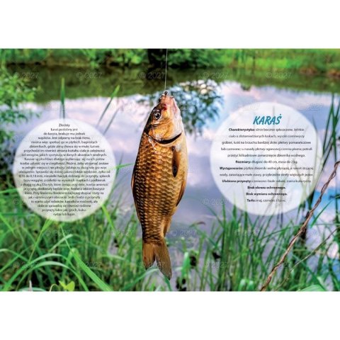 Kalendarz ścienny WĘDKARSKI 13-planszowe 320mm x 470mm Lucrum (RW14)