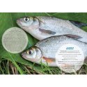 Kalendarz ścienny WĘDKARSKI 13-planszowe 320mm x 470mm Lucrum (RW14)
