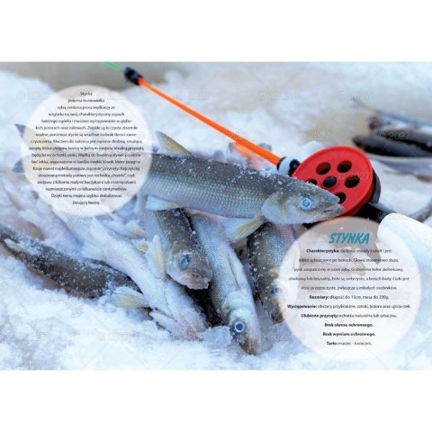 Kalendarz ścienny WĘDKARSKI 13-planszowe 320mm x 470mm Lucrum (RW14)