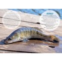 Kalendarz ścienny WĘDKARSKI 13-planszowe 320mm x 470mm Lucrum (RW14)