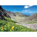 Kalendarz ścienny RODZINNY TATRY i PODHALE 13-KARTKOWY 280mm x 200mm Lucrum (WL4)