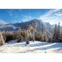 Kalendarz ścienny RODZINNY TATRY i PODHALE 13-KARTKOWY 280mm x 200mm Lucrum (WL4)