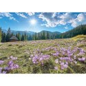 Kalendarz ścienny RODZINNY TATRY i PODHALE 13-KARTKOWY 280mm x 200mm Lucrum (WL4)