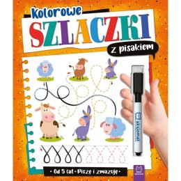 Książeczka edukacyjna Kolorowe szlaczki z pisakiem. Piszę i zmazuję od 5 lat Aksjomat