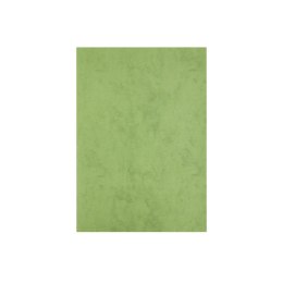 Papier ozdobny (wizytówkowy) A4 CORINTHIAN GREEN kolor biały Beniamin (5176)