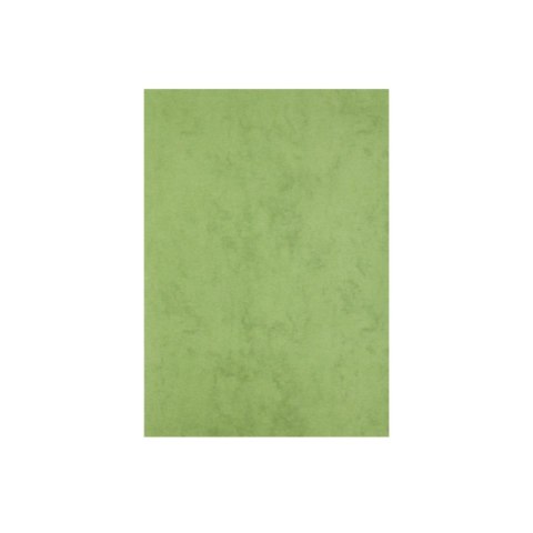 Papier ozdobny (wizytówkowy) A4 CORINTHIAN GREEN kolor biały Beniamin (5176)