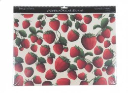 Podkład na biurko podkład multi Tabliczka mnożenia Henry (5908451985158)